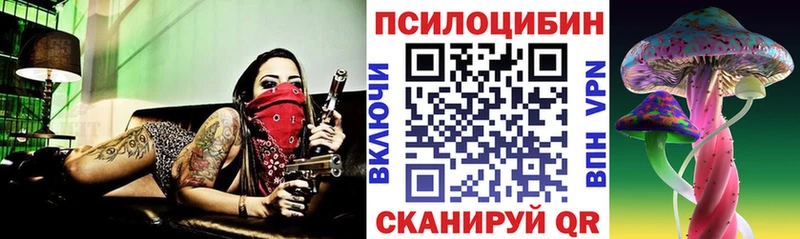 Галлюциногенные грибы мицелий  Новое Девяткино 